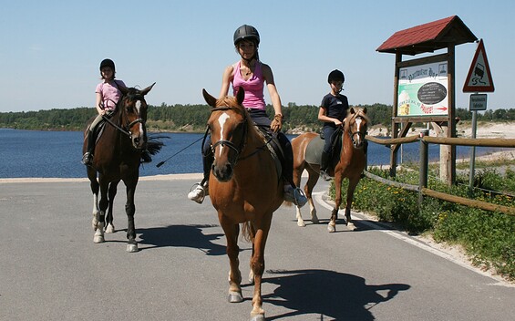 “Partwitzer Hof” Riding School 