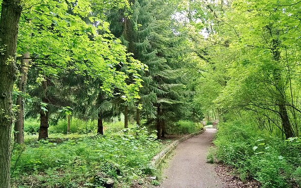 Stadtpark, Foto: Frau Maslok, Lizenz: Frau Maslok