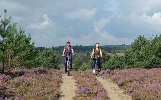 Mit dem Fahrrad durch den Naturpark Niederlausitzer Heidelandschaft, Foto: Dietmar Seidel