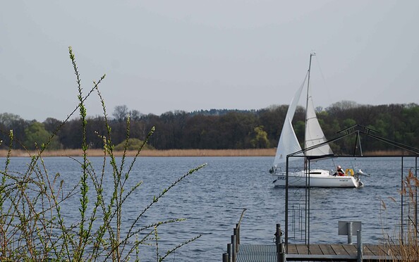 View on Werder from the waterside, Foto: Tourismusverband Havelland e.V.