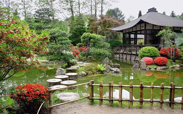 Tea House in the Japanes Bonsai Garden, Foto: Japanischer Bonsaigarten
