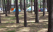 Tents at the Campingsite Neue Scheune, Foto: Campingplatz Neue Scheune/St. Mies