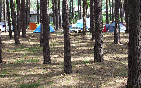 Tents at the Campingsite Neue Scheune, Foto: Campingplatz Neue Scheune/St. Mies