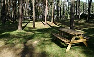 Picnic tables at the camping site, Foto: Campingplatz Neue Scheune/St. Mies