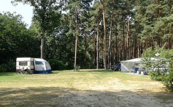 View of the Camping site, Foto: Campingplatz Neue Scheune/St. Mies