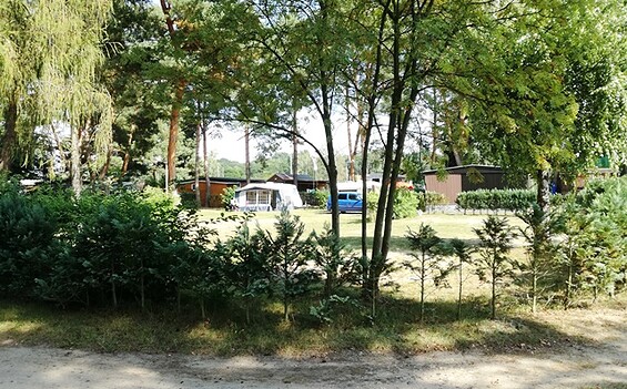 Camper van site on the campsite Neue Scheune in Ferch