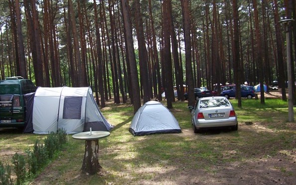 Stellplätze auf dem Campingplatz, Foto: Campingplatz Neue Scheune