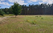 Country idyll Ferch, Foto: Kultur- und Tourismusamt Schwielowsee