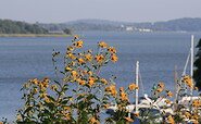 Wasserwanderrastplatz &amp; Kanuanleger in Ferch Zum Alten Landrat, Foto: ©fischundblume