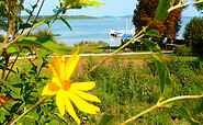 Wasserwanderrastplatz &amp; Kanuanleger in Ferch Zum Alten Landrat, Foto:  ©Dorothea Schulz-Janicke
