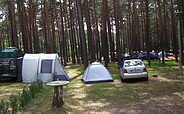 Pitches on the campsite, Foto: Campingplatz Neue Scheune