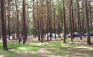Pitches in the forest on the campsite, Foto: Campingplatz Neue Scheune