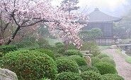 Japanese bonsai garden Ferch, Foto: Japanischer Bonsaigarten Ferch
