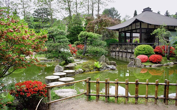 Teich im japanischen Bonsaigarten, Foto: Japanischer Bonsaigarten Ferch
