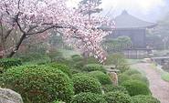 Japanischer Bonsaigarten Ferch, Foto: Japanischer Bonsaigarten Ferch
