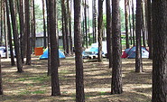 Zelte auf dem Campingplatz Neue Scheune, Foto: Campingplatz Neue Scheune/St. Mies