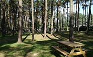Picknicktische am Campingplatz Neue Scheune, Foto: Campingplatz Neue Scheune/St. Mies