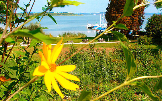 Rest area for water hikers & canoe docks in Ferch Zum Alten Landrat, Foto: Dorothea Schulz-Janicke