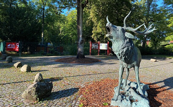 Eingangsbereich Tierpark Angermünde, Foto: Alena Lampe