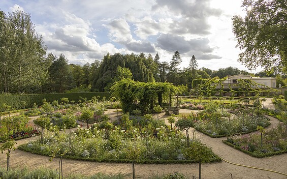 Rose Garden in Charlottenhof Park, Foto: André Stiebitz, Lizenz: PMSG/ SPSG