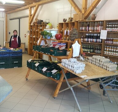 Bio-Apfelhof Müller (fruit farm/pick your own)