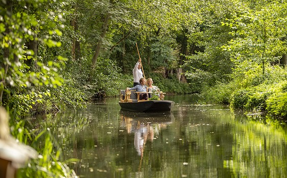 Punting tours from Hagens Insel
