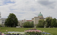 Potsdam Friendship Island, Foto: Sophie Jäger, Lizenz: PMSG