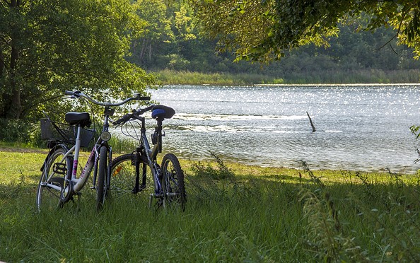 Fahrräder am kleinen Linowsee bei Rheinsberg, Foto: ScottyScout, Lizenz: ScottyScout