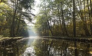 Rottstielfließ zum Tornowsee, Foto: Steffen Lehmann, Lizenz: TMB-Fotoarchiv