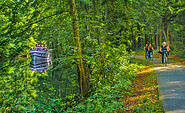 Radweg am Werbellinkanal, Foto: Michael Mattke, Lizenz: Gemeinde Schorfheide