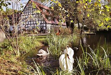 Hotel "Springbach-Mühle"