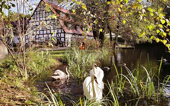Hotel "Springbach-Mühle", Foto: K. Wünsche, Lizenz: Springbach-Mühle Belzig OHG