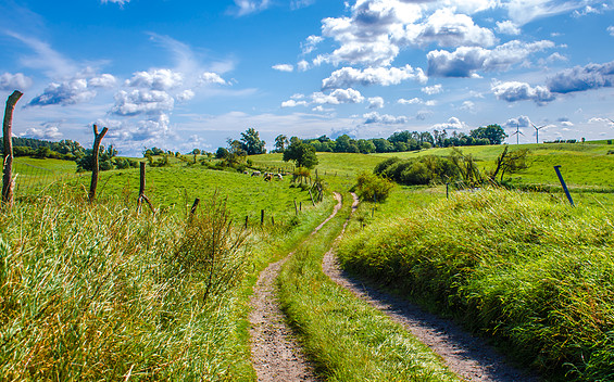 Koppelweg bei Blütenberg, Foto: Michael Mattke, Lizenz: Gemeinde Schorfheide
