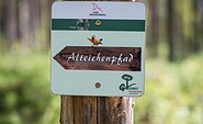 Wegweiser Alteichenpfad, Foto: Antje Queißner, Lizenz: Gemeinde Schorfheide