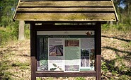 Information zum Alteichenpfad, Foto: Antje Queißner, Lizenz: Gemeinde Schorfheide