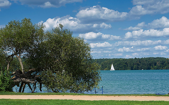 Blick von der Liegewiese auf den Werbellinsee, Foto: Jürgen Rocholl, Lizenz: Gemeinde Schorfheide