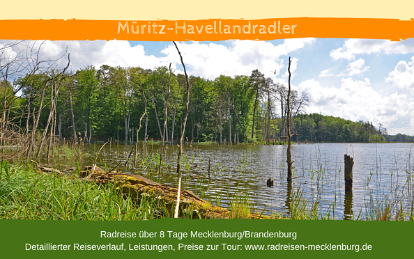 Durch den Nationalpark in die Kleinseenplatte, Foto: R. Tetmeyer|radreisen-mecklenburg, Lizenz: R. Tetmeyer|radreisen-mecklenburg