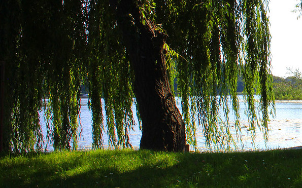 Blick auf den See, Foto: Ferienwohnung Knuth, Lizenz: Ferienwohnung Knuth