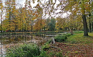 Teiche im Schloßpark Jüterbog, Foto: Catharina Weisser, Lizenz: Tourismusverband Fläming e.V.