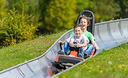 Sommerrodelbahn, Foto: Erlebnispark Teichland, Lizenz: Erlebnispark Teichland