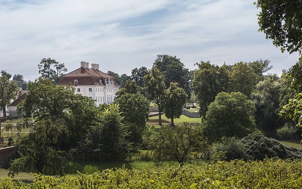 Blick auf das Barockschloss Meseberg, Foto: Steffen Lehmann, Lizenz: TMB-Fotoarchiv
