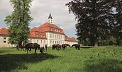 Hauptgestüt, Foto: SBHLG, Lizenz: Landkreis OPR
