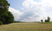 Feldlandschaft am Rundwanderweg, Foto: Anke Bielig, Lizenz: Anke Bielig