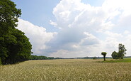 Feldlandschaft am Rundwanderweg, Foto: Anke Bielig, Lizenz: Anke Bielig