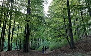 Auf dem Genusswanderweg, Foto: Simone Mronga, Lizenz: Tourismusverein Angermünde e.V.