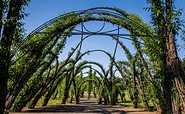 Weidenburg Arena Salix, Burg (Spreewald), Foto: Peter Becker, Lizenz: Amt Burg (Spreewald)