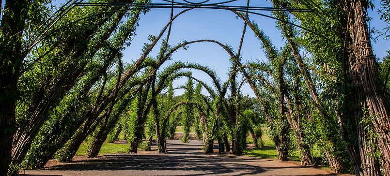 Weidenburg Arena Salix
