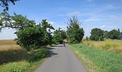 Hofjagdweg - zwischen Krummensee und Bestensee, Foto: Axel von Blomberg, Lizenz: Amt Burg (Spreewald)
