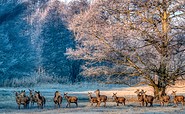 Wandertour im Winter, Foto: Peter Becker, Lizenz: Amt Burg (Spreewald)
