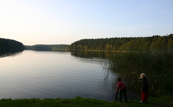 Running Park Stechlin: Menz – Dannenwalde - Altglobsow ("Wabe Grün")
